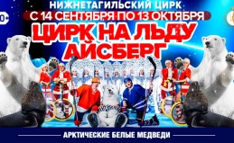 Билеты в Нижнетагильский цирк