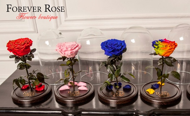 Скидка на Стабилизированная роза в колбе от интернет-магазина Forever rose: красная, желтая, белая, розовая, черная и не только. Скидка 50%