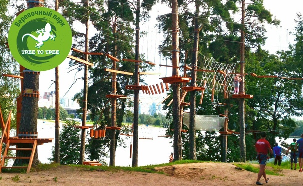 Скидка на Активный отдых в веревочном парке Tree To Tree в Озерках для детей и взрослых. Скидка до 47%