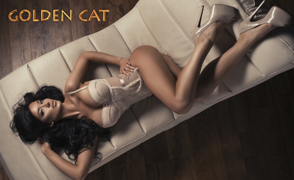 Скидка на Шугаринг или биоэпиляция зон на выбор для женщин в салоне красоты Golden Cat. Скидка до 80%