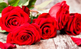 Букеты роз от «Дисконт-центра роз»