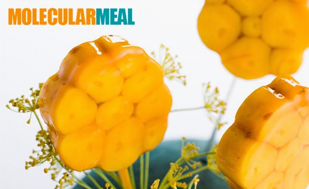 Скидка на Мастер-классы по молекулярной кухне от компании Molecularmeal: фруктовая игра, равиоли, спагетти из рукколы и многое другое! Скидка до 51%
