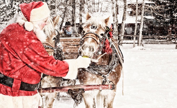 Скидка на 1-часовая прогулка на лошадях для детей в сопровождении Деда Мороза от конного двора «Космос» в Митино со скидкой 50%