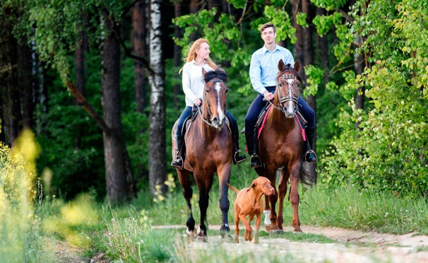 Скидка на Конные прогулки на выбор для взрослых и детей, а также предоставление лошади для фотосессии от конного двора «Космос» в Митино. Скидка до 68%