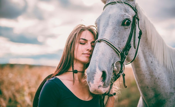 Скидка на Отдых в конном клубе «Усадьба» в Марфино: фотосессия с лошадью + конные прогулки в поле или лесу. Скидка до 68%
