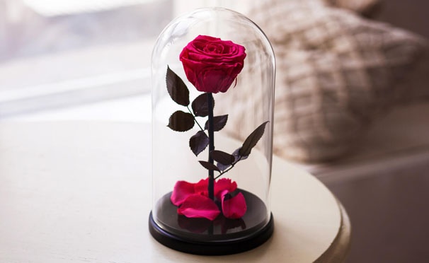 Скидка на Живые розы из Таиланда в стекле от интернет-магазина LoveRoses. Скидка до 63%