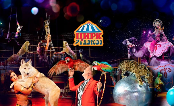 Скидка на Билеты на новую программу «Карусель чудес» в цирке «Автово» с 29 октября. Скидка до 50%