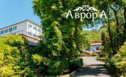 Отдых в санатории «Аврора» в Сочи
